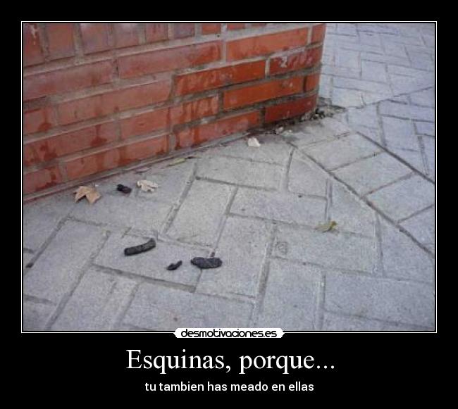 Esquinas, porque... - tu tambien has meado en ellas