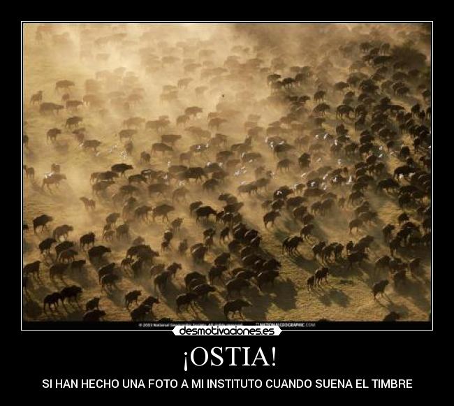 ¡OSTIA! - SI HAN HECHO UNA FOTO A MI INSTITUTO CUANDO SUENA EL TIMBRE