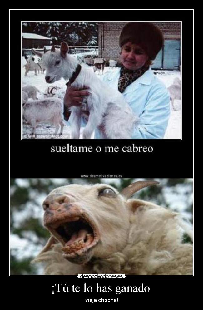 ¡Tú te lo has ganado -