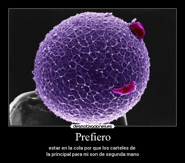 Prefiero - estar en la cola por que los carteles de
la principal para mi son de segunda mano