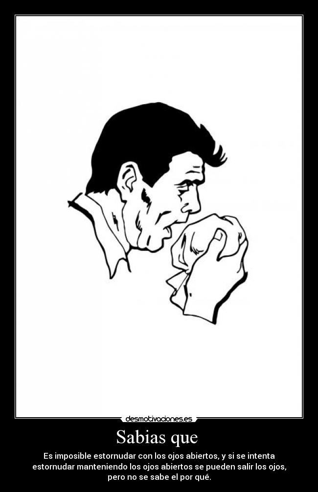 Sabias que - Es imposible estornudar con los ojos abiertos, y si se intenta
estornudar manteniendo los ojos abiertos se pueden salir los ojos,
pero no se sabe el por qué.