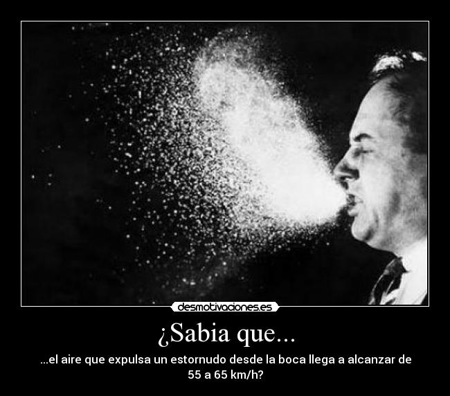 ¿Sabia que... -