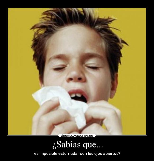 carteles 678o desmotivaciones
