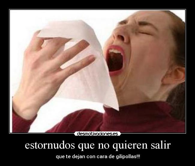 estornudos que no quieren salir -