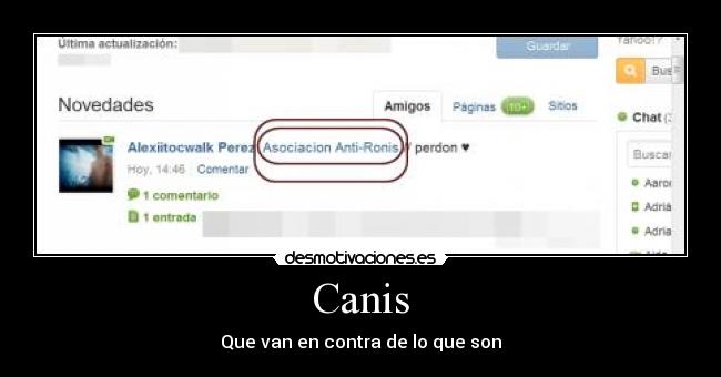 Canis - Que van en contra de lo que son