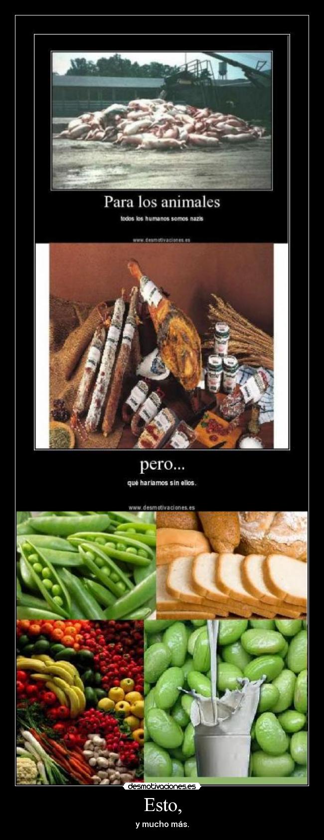 carteles esto mucho mas carne verdura comida nazis soja salud saludable fruta cerdos desmotivaciones