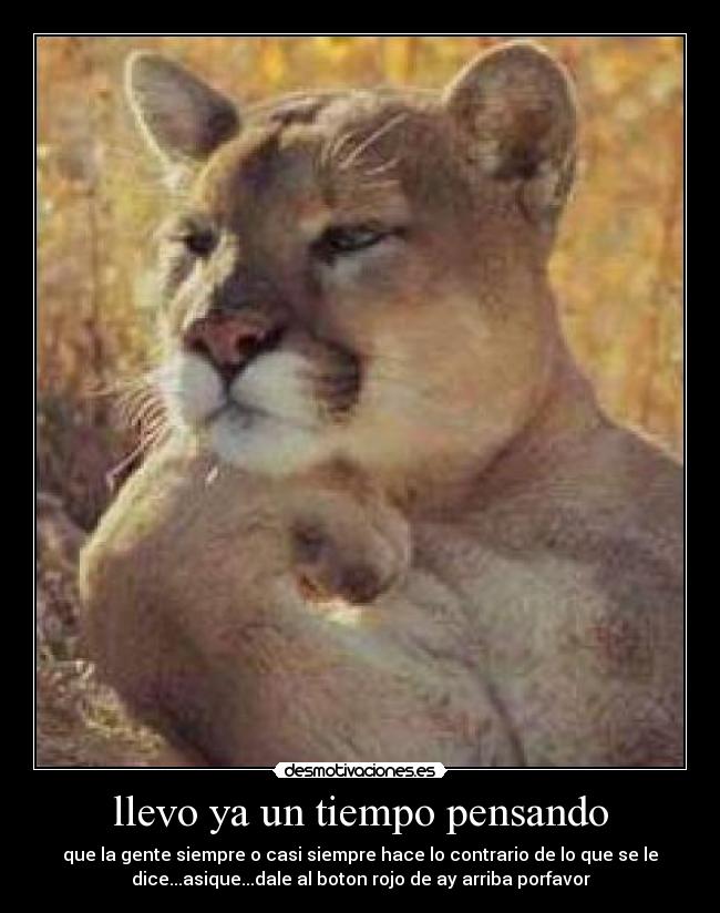 llevo ya un tiempo pensando - 