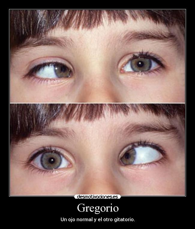 Gregorio - 