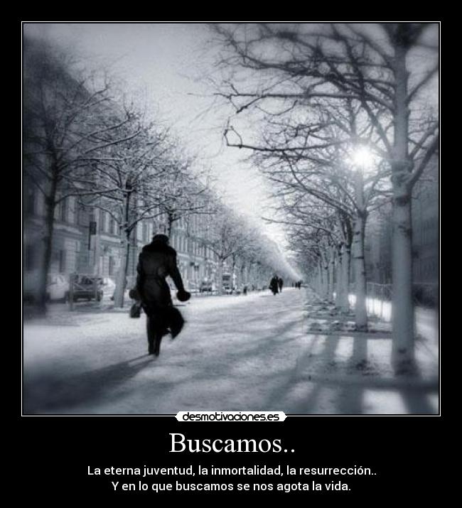 Buscamos.. - La eterna juventud, la inmortalidad, la resurrección..
Y en lo que buscamos se nos agota la vida.