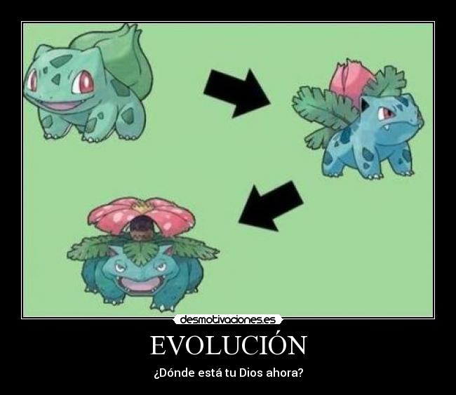 EVOLUCIÓN - 