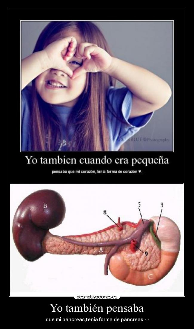 carteles pancreas desmotivaciones