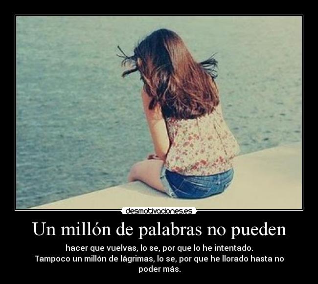 Un millón de palabras no pueden -