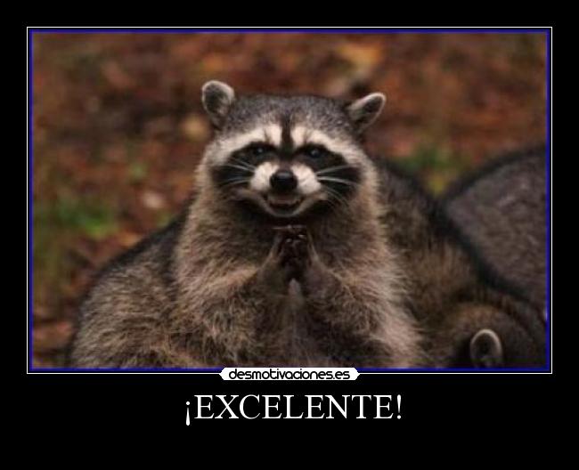 ¡EXCELENTE! - 