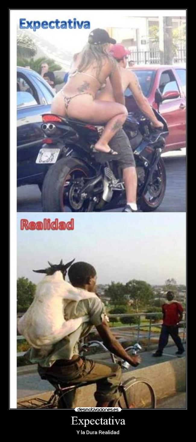 carteles verdad desmotivaciones