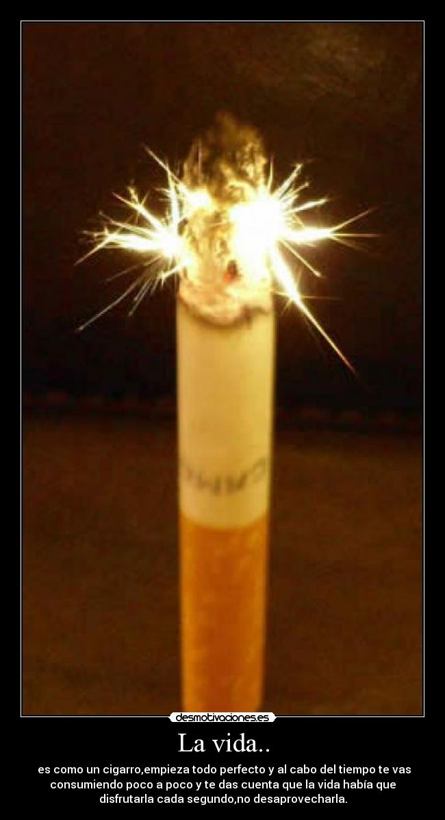 La vida.. -  es como un cigarro,empieza todo perfecto y al cabo del tiempo te vas
consumiendo poco a poco y te das cuenta que la vida había que
disfrutarla cada segundo,no desaprovecharla.