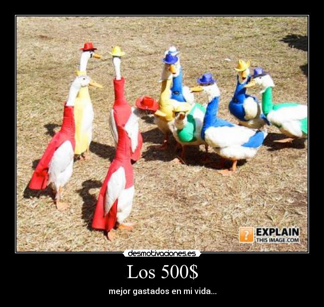 Los 500$ - mejor gastados en mi vida...