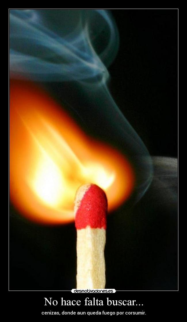 No hace falta buscar... - 