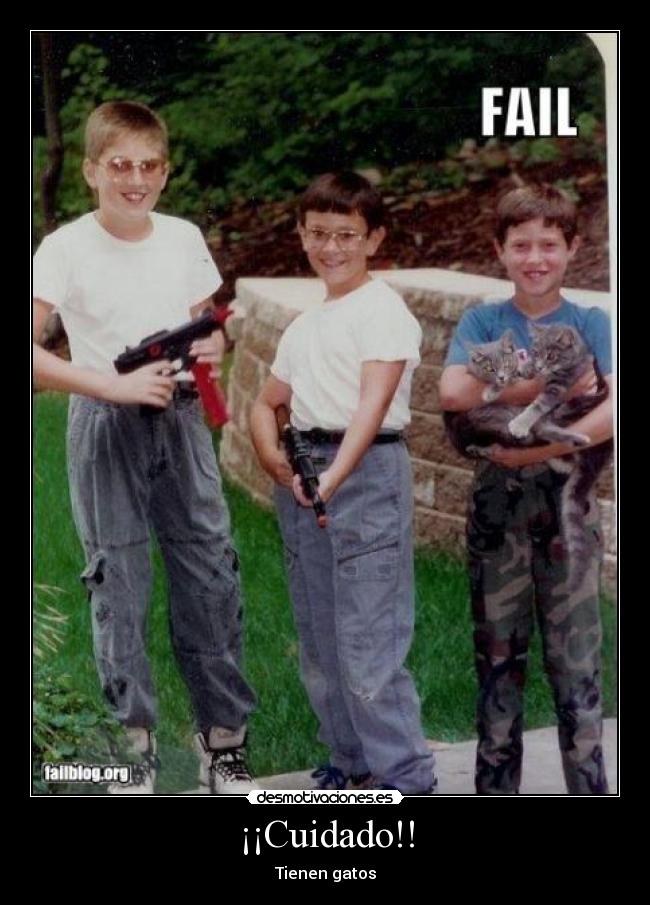 ¡¡Cuidado!! - Tienen gatos