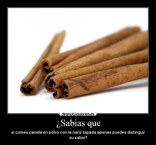 ¿Sabias que - 