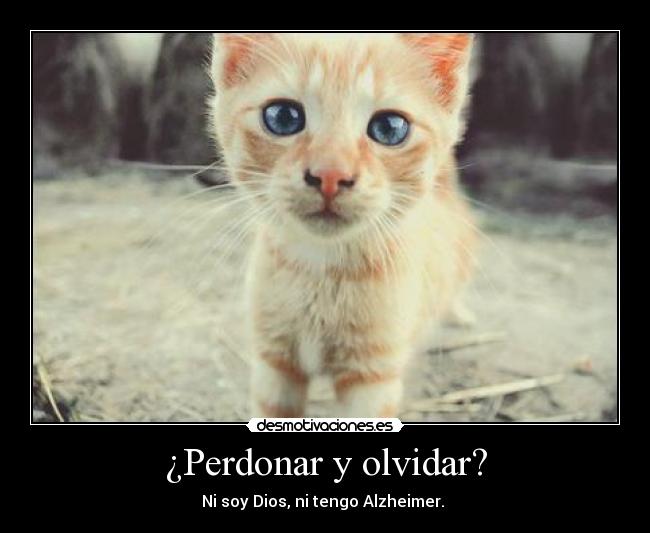 ¿Perdonar y olvidar? - Ni soy Dios, ni tengo Alzheimer.