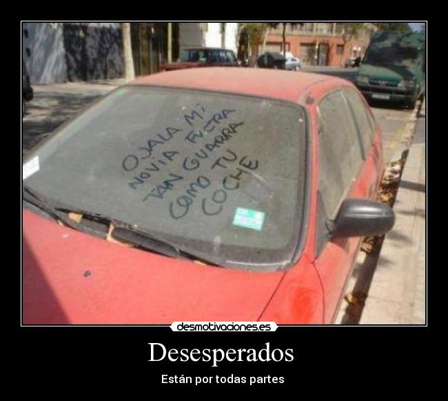 Desesperados - Están por todas partes