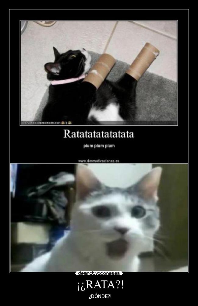 ¡¿RATA?! - 