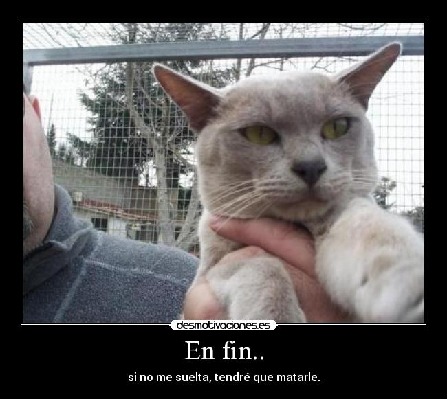 En fin.. - si no me suelta, tendré que matarle.