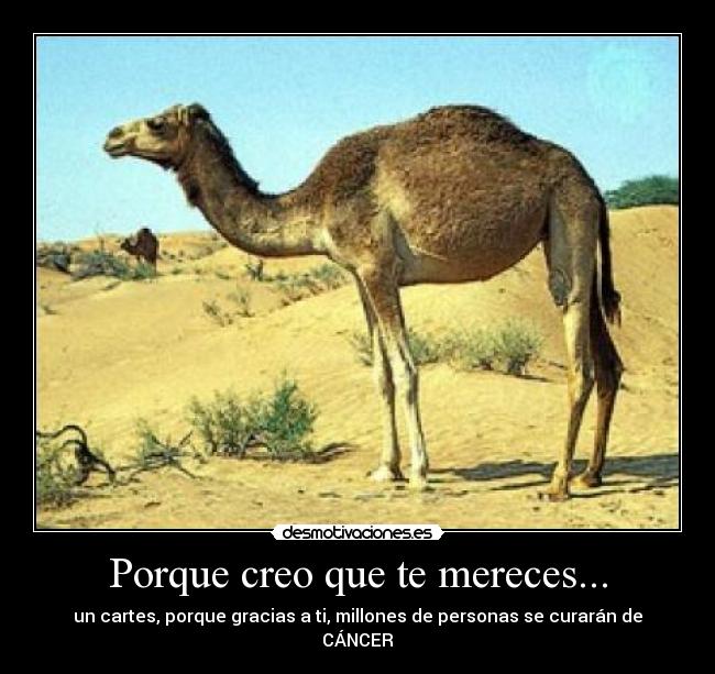 Porque creo que te mereces... -