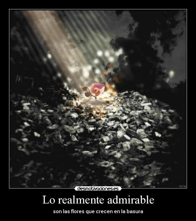 carteles qwqw desmotivaciones