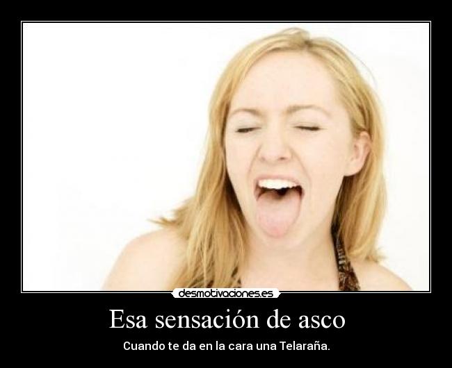 Esa sensación de asco - Cuando te da en la cara una Telaraña.