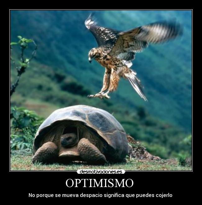 OPTIMISMO -