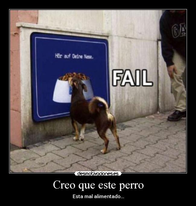 carteles perro desmotivaciones