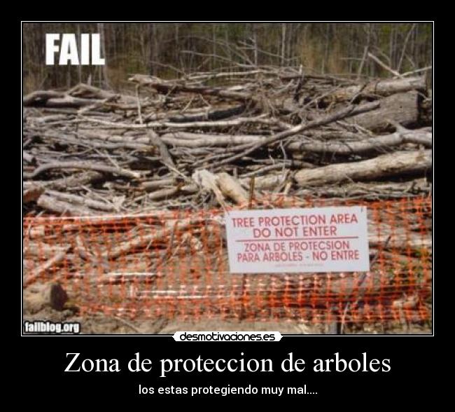 Zona de proteccion de arboles -