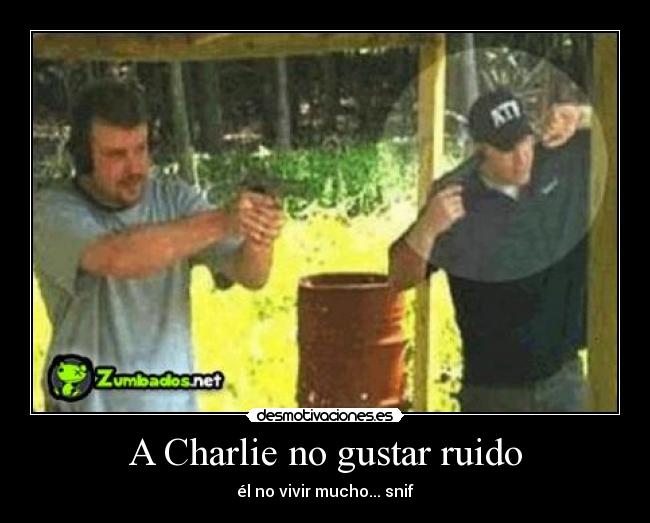 A Charlie no gustar ruido - él no vivir mucho... snif