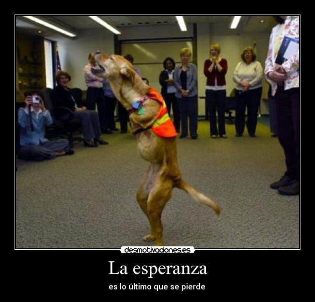 La esperanza - es lo último que se pierde