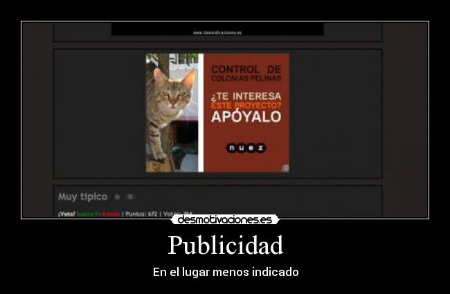 Publicidad - 
