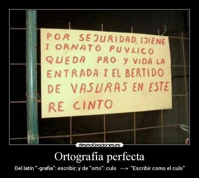 Ortografía perfecta - 