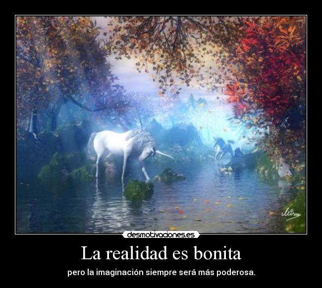 La realidad es bonita -