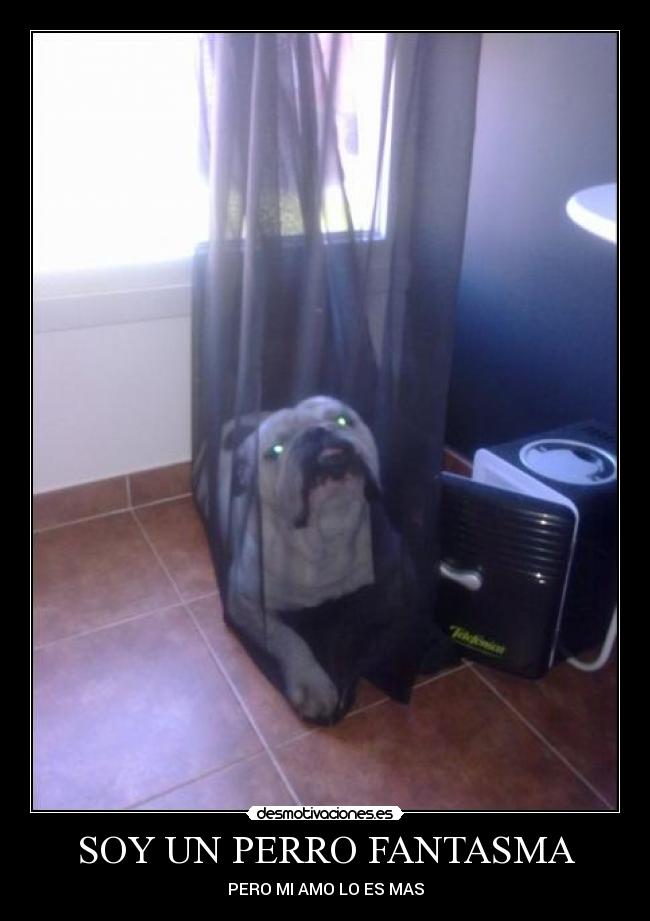 SOY UN PERRO FANTASMA - PERO MI AMO LO ES MAS