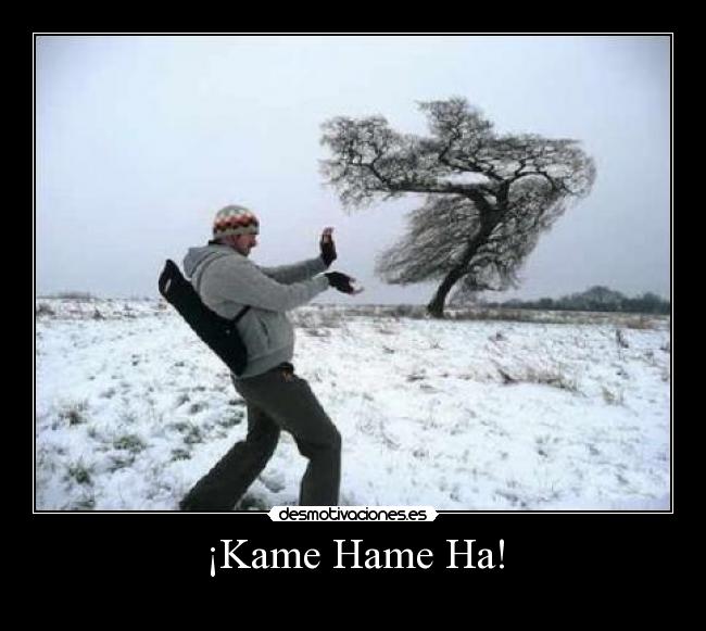 ¡Kame Hame Ha! -