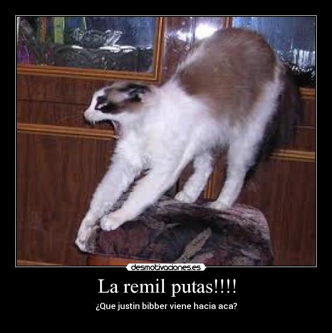 La remil putas!!!! - ¿Que justin bibber viene hacia aca?
