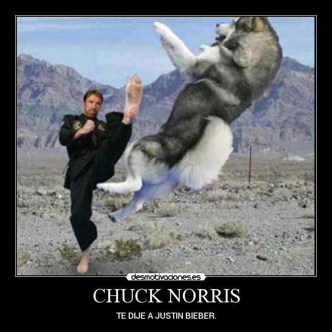 CHUCK NORRIS - 