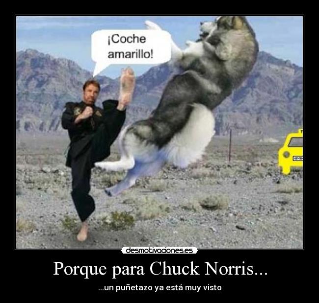 Porque para Chuck Norris... - ...un puñetazo ya está muy visto