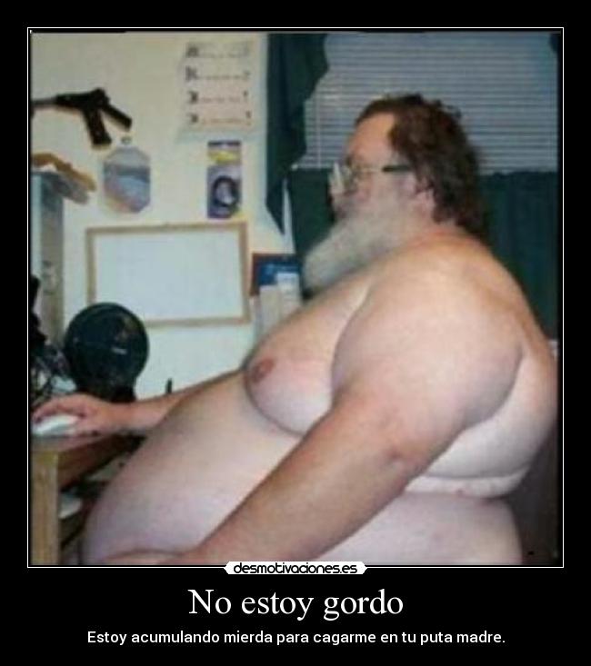 No estoy gordo - 
