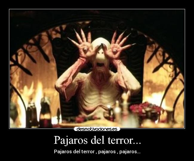 Pajaros del terror... - Pajaros del terror , pajaros , pajaros...