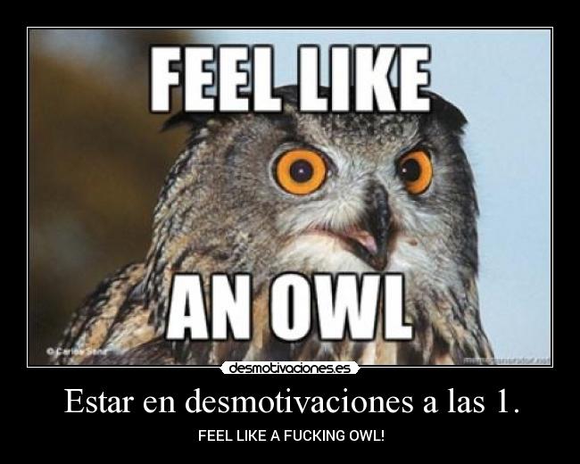 Estar en desmotivaciones a las 1. - FEEL LIKE A FUCKING OWL!