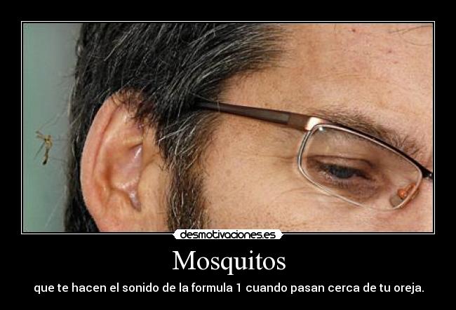 Mosquitos - 
