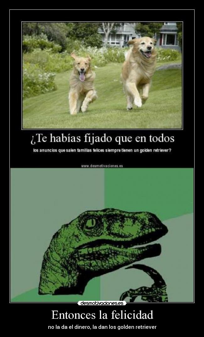 Entonces la felicidad -