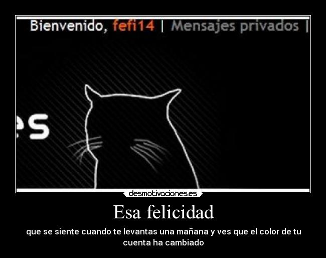 Esa felicidad - que se siente cuando te levantas una mañana y ves que el color de tu
cuenta ha cambiado