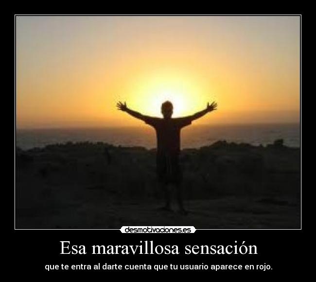 Esa maravillosa sensación - que te entra al darte cuenta que tu usuario aparece en rojo.